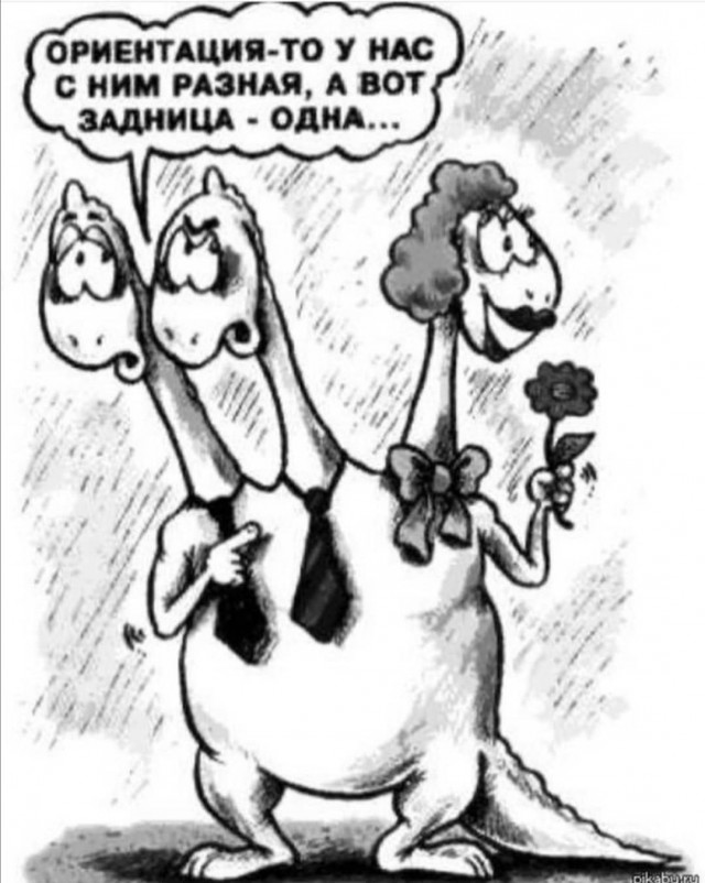 Картинки и мемы для настроения