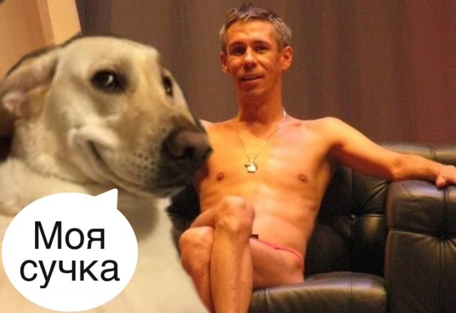 Женщину из Ирландии судят за секс с ротвейлером