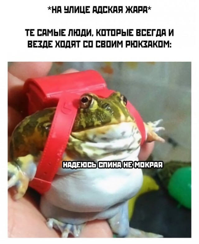 Картинки и мемы для настроения 12.07.2021