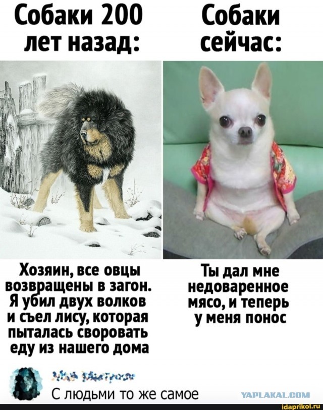 Парень который всегда рядом
