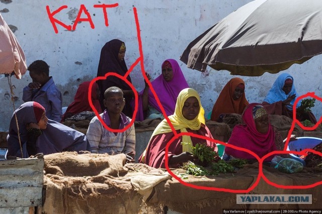 Сомали, начало путешествия