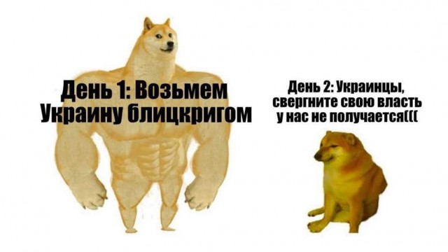 Сводка на 22:30 25.02.22