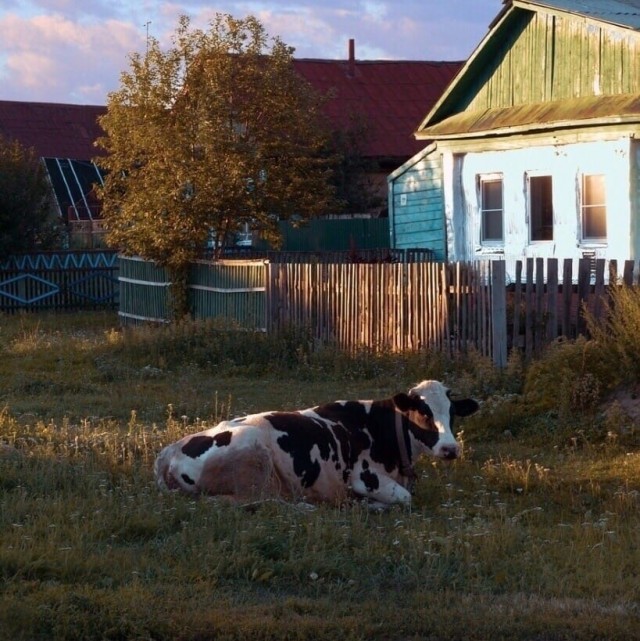Никогда не думал, что что-то подобное буду здесь выкладывать. Выложу