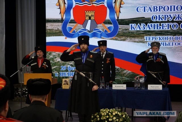 Полиция Ставрополя ищет напавших на пенсионера