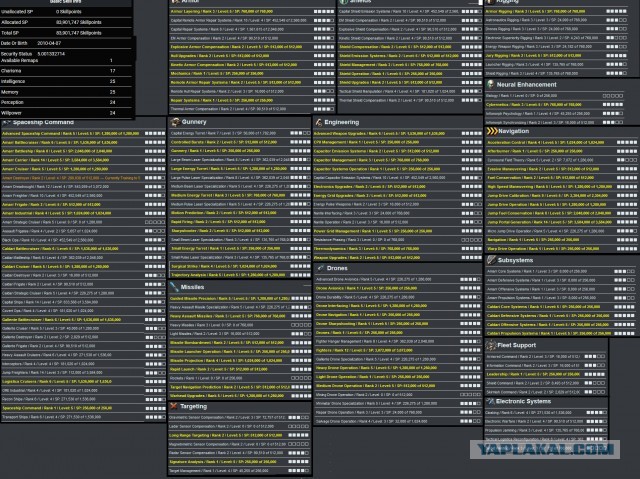 EVEOnline. Чар 2010 года. 84кк SP. 9,5ккк ассетов. Ракеты, пушки в 5. Т1,Т2 корабли.Капиталы в5 + сап скиллы