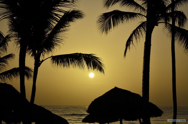 Путешествие по Северной Америке