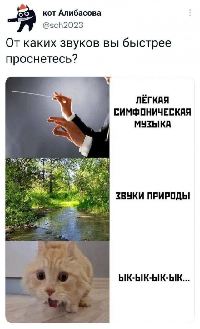 Победная поступь идиотизма по планете – том 3