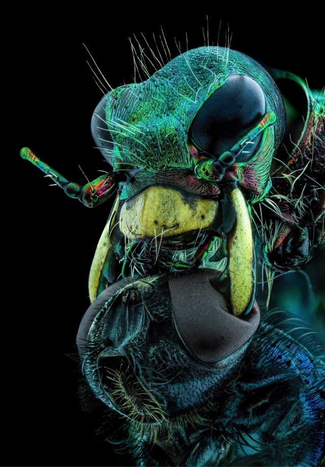 Нет, только показываю