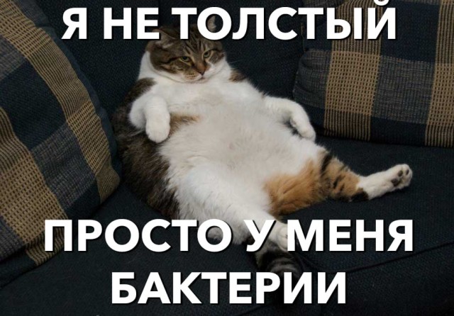 Победная поступь идиотизма по планете – том 4