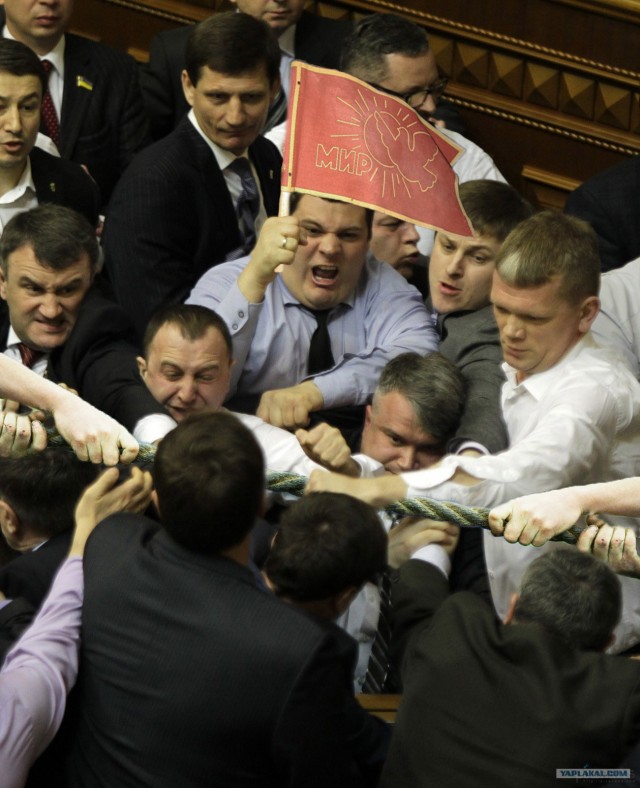 Фотожаба "Политдрака"