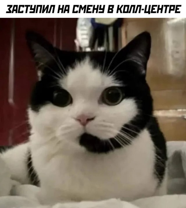 Картинки и мемы для настроения - 131