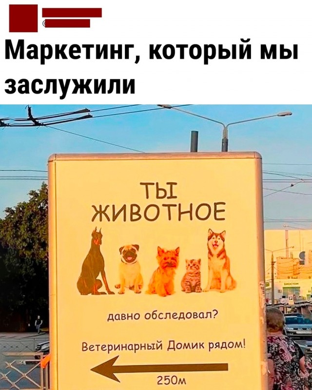 Так себе картинки 23.02.23