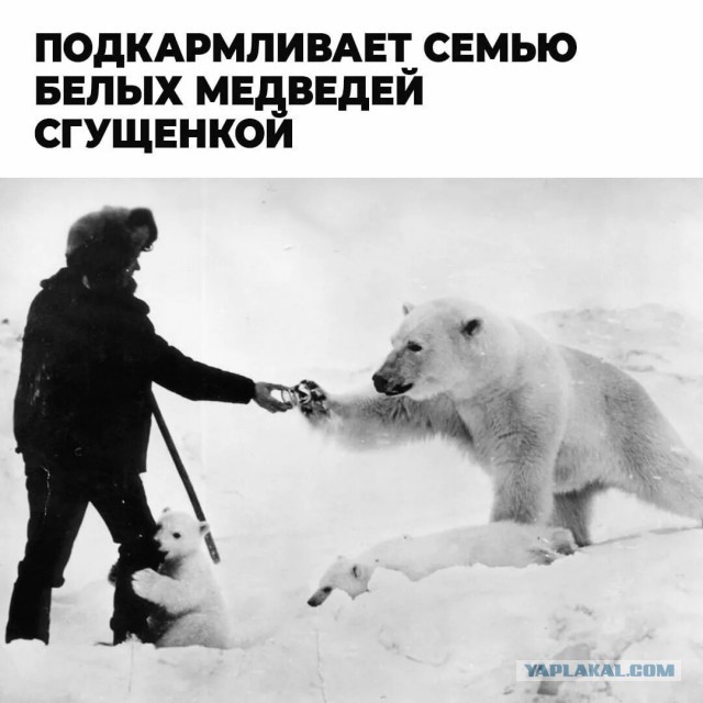 Так себе картинки 26.02.23