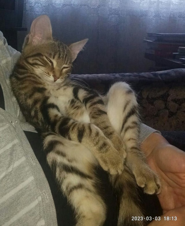 Дождалась