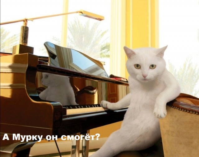 Мишустин неожиданно сыграл на рояле