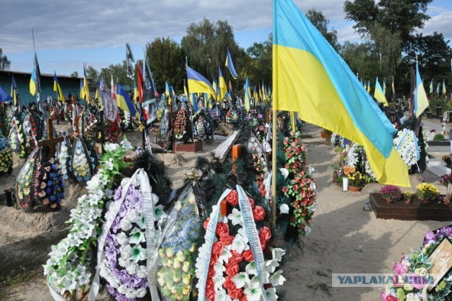 ВСУ используют на фронте одноразовые австралийские дроны из картона: сверхдешевые и надежные
