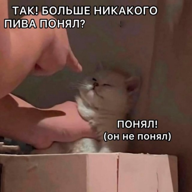 Немного картинок для настроения - 161