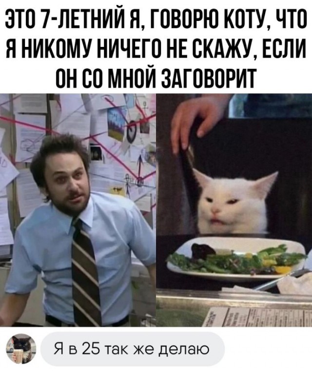 Картинки и мемы, это май-чародей всяко разно - 177