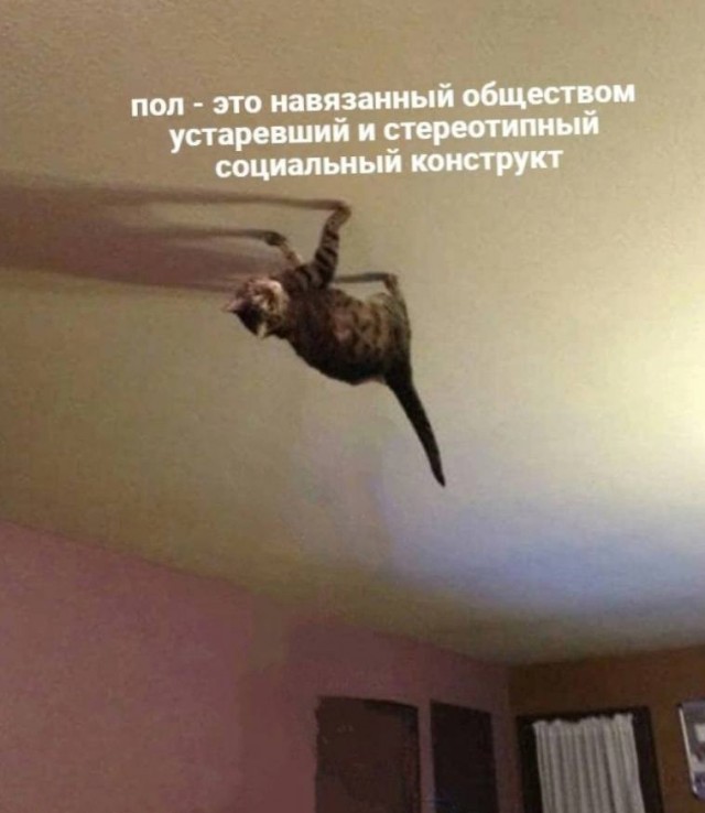 Народная меДИЧина 3027