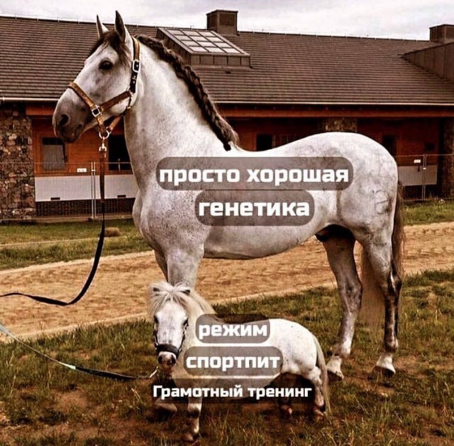 Картинки и мемы, всяко разно - 183