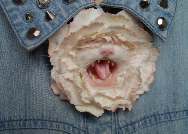 Брошка-кошка, полностью ручная работа. всего 7 см!