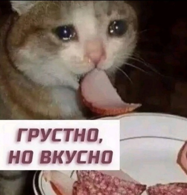 Главный суетолог во дворе
