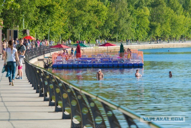 Как купались в Москве-реке