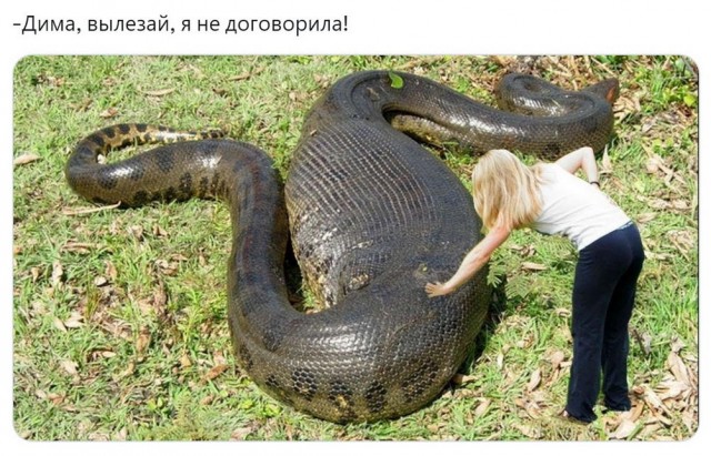 Всего понемногу. От 27.05