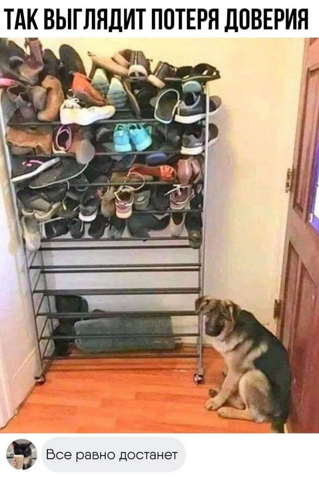 Завалялось тут случайно немного забавных картинок