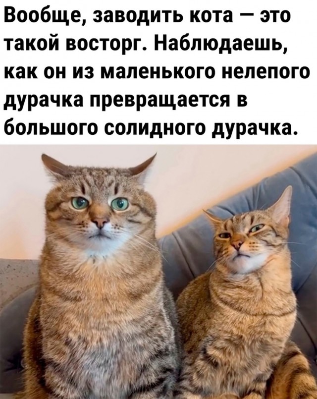 Так себе картинки 06.10.24