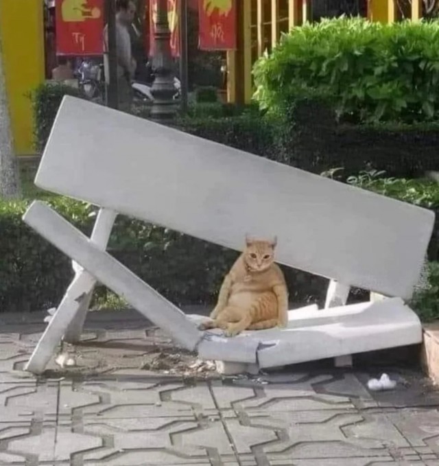 Я не толстый.