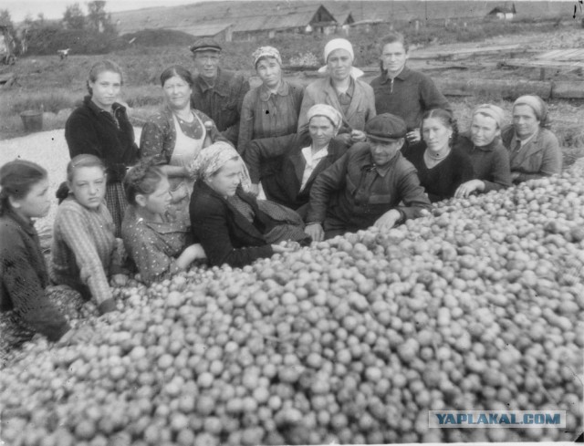 Ностальгия по работящим женщинам