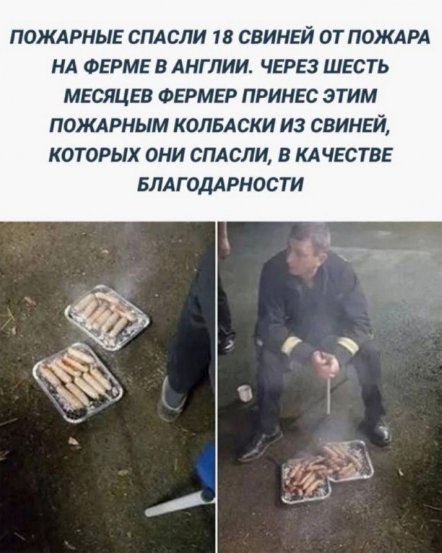 Веселые картинки в пятницу (30.05)