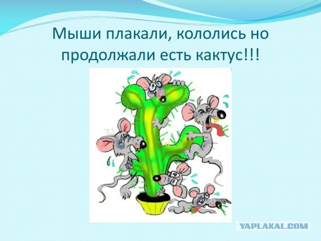 3 примитивных манипуляции: Как женщины за 40+ "водят за нос" мужчин помоложе