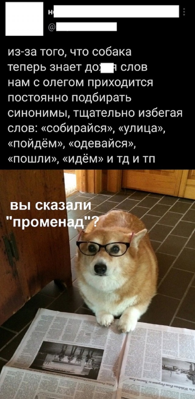 Так себе картинки 15.06.25