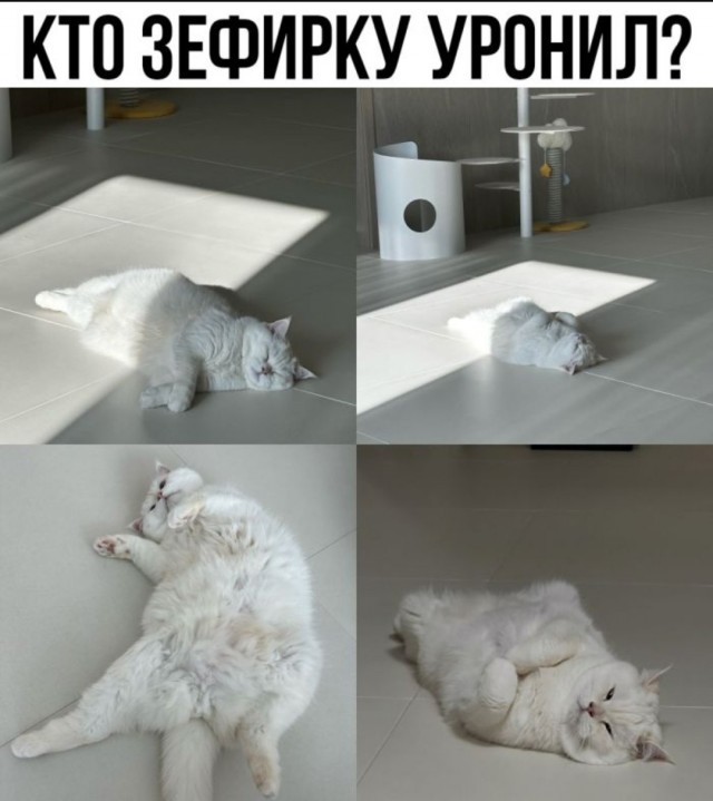 Завалялось тут случайно немного забавных картинок