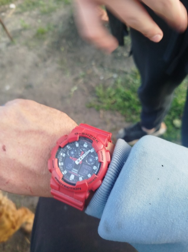 Ваши первые Casio