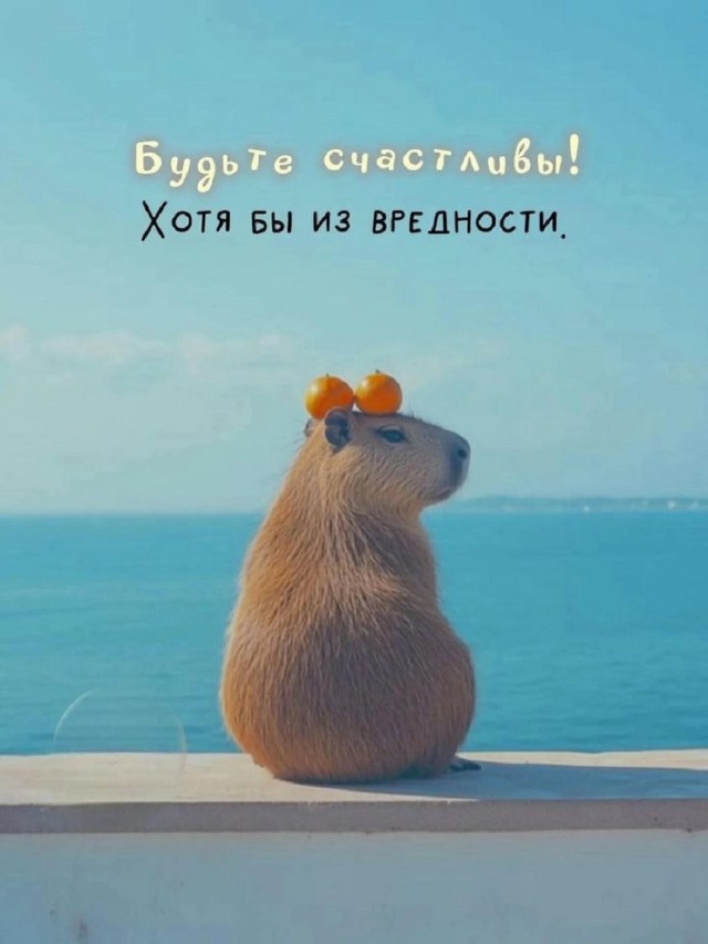 Так себе картинки 02.09.25