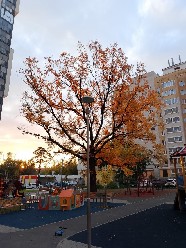 Пермский край. Осень, коллеги...