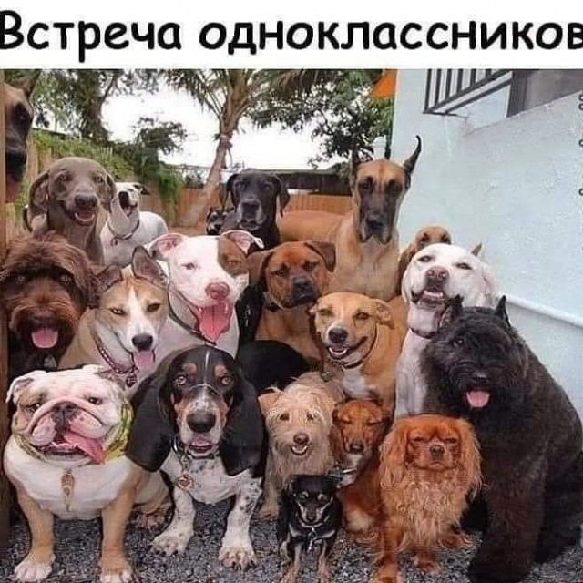 Последняя маленькая пятница октября.