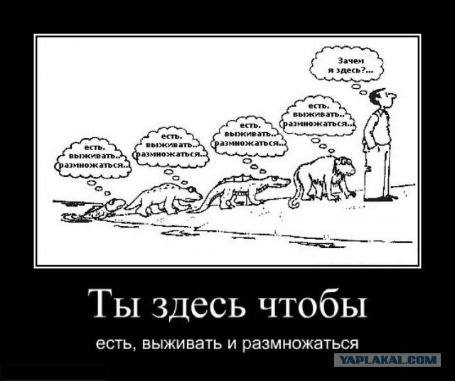 Вопрос: "Зачем человек живёт?"