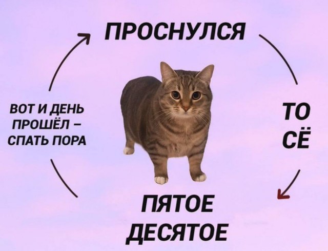 Небаянистая деградация 4