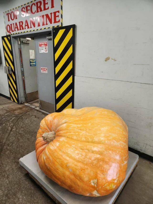 Забавные фотографии из Сети 11.11.25