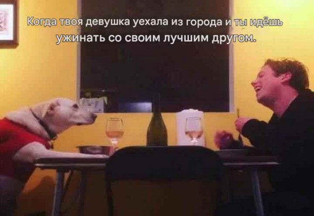 Картиночки, баянчики  06 декабря