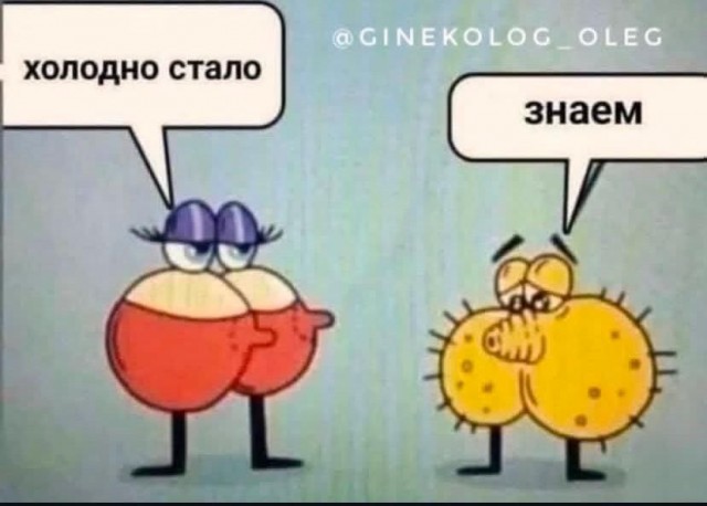 Среды картинки