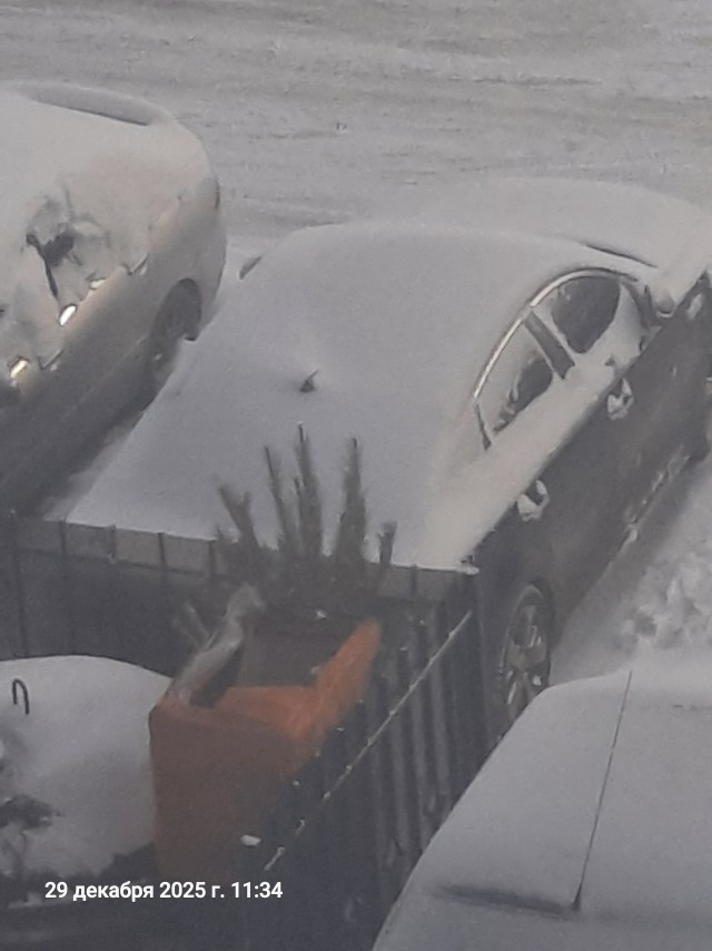 Предательство за три дня до НГ