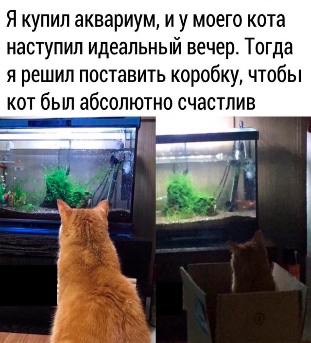 Так себе картинки 29.12.25