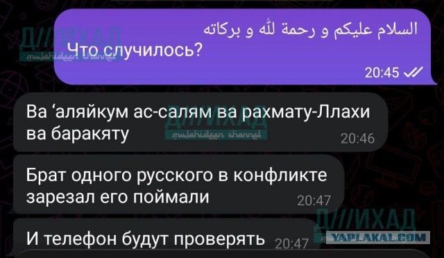 Начало конфликта в Электростали зафиксировала камера автобуса. Всё случилось 18 января около 23:00