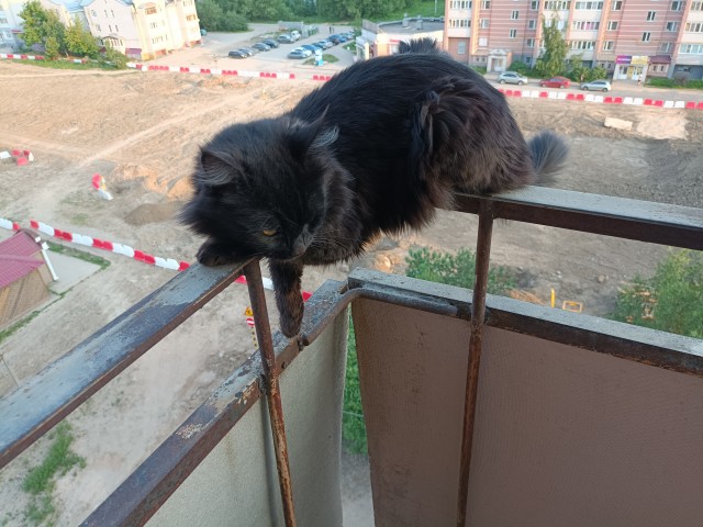 Настоящий сибиряк