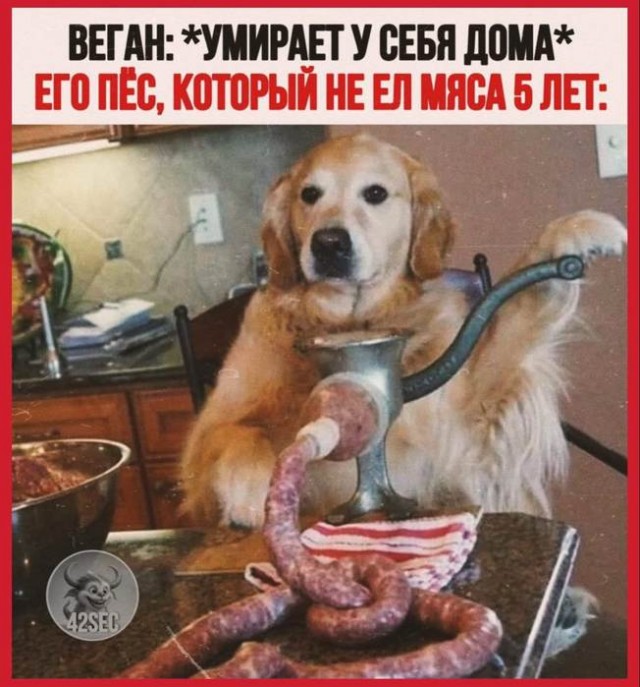 Картинки для деградации 143 (разной степени свежести)